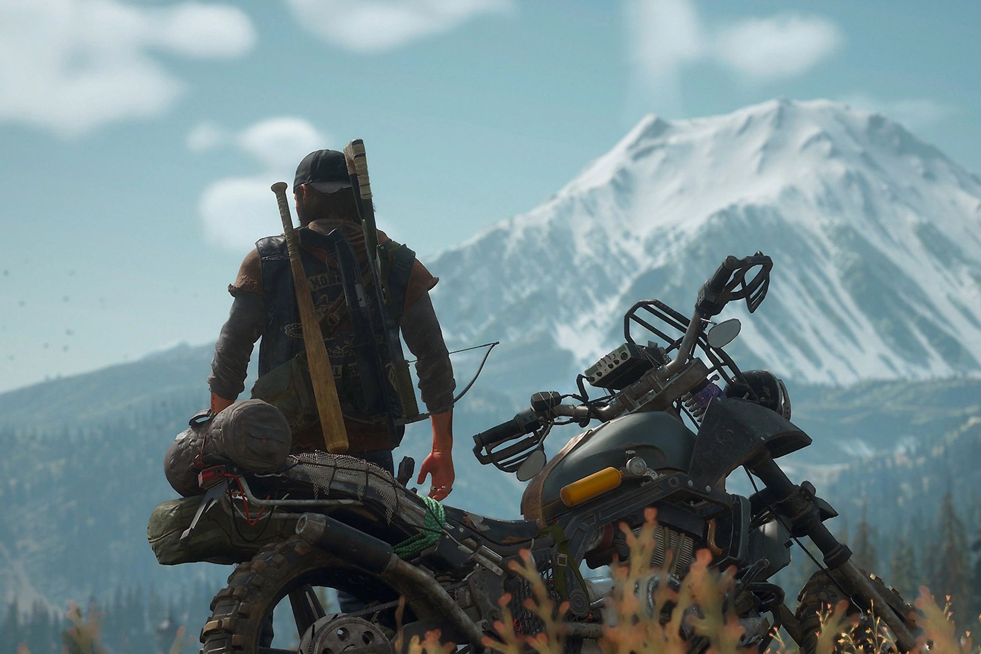Days Gone