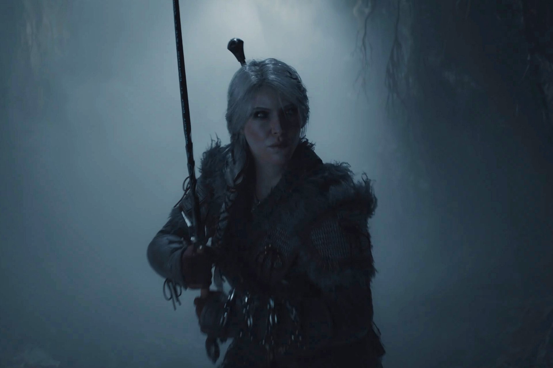 the witcher 4